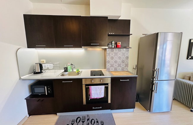 Central Art Apartment in Bansko With Mountain View - Photo 5