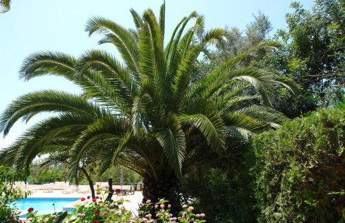 Feliz Apartments - Foto 59