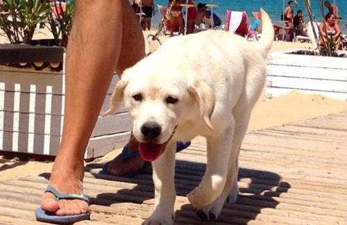 Panoramic Apartment Balestrate - Foto 25