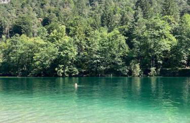 Ferienwohnung Singer - Foto 12