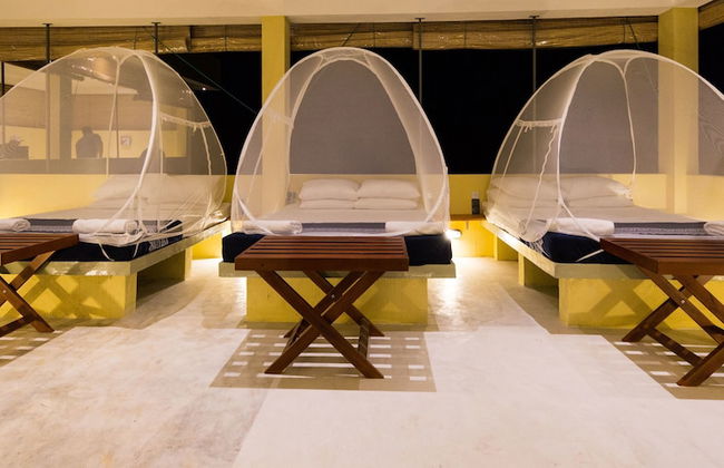 Forestville Yala - Foto 6