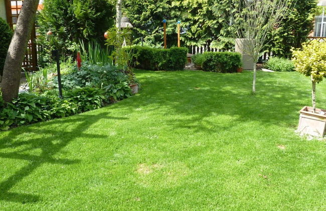 Am Rosengarten Comfortable Holiday Residence - Foto 25