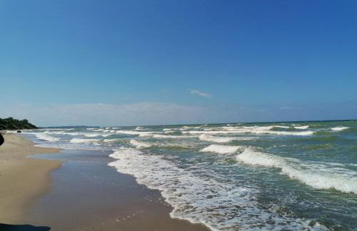 Hof am Meer "Seemöwe" - Foto 40