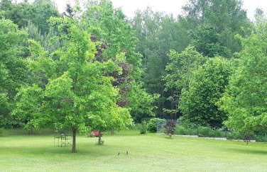 Powrócisz tu... - Foto 15