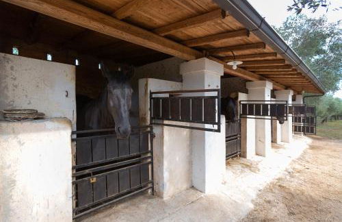 Casale del Forno - Foto 43