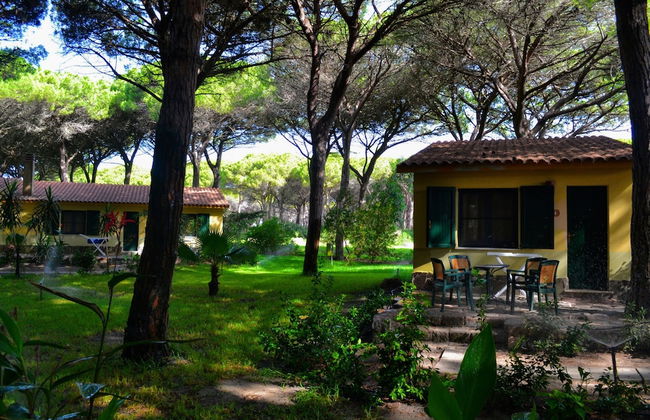 1 Ala Birdi Cottage Trilocale - Foto 32