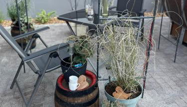 Schlafen im Weinfass - Foto 4