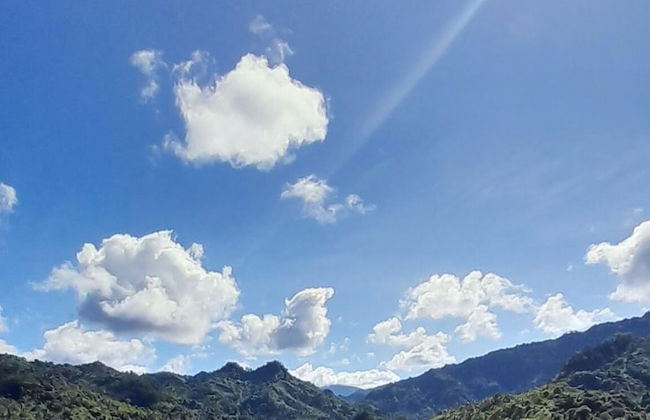 Namosi Eco Retreat - Photo 30