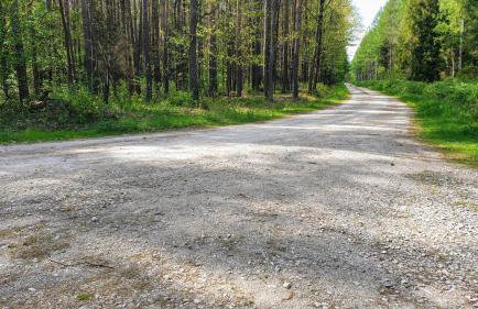 Uroczysko Lubiaszów - Foto 65