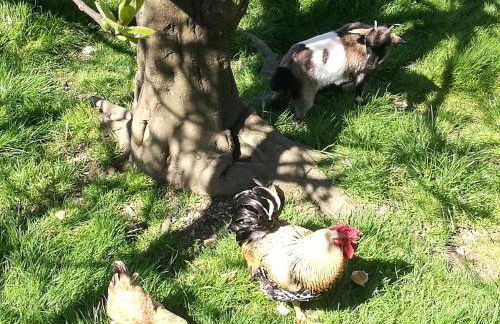 Casa Rural Altzibar-berri - Foto 2