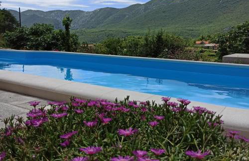 Holiday Village Home Kamenica - Photo 4