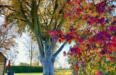 Octon Cottages Luxury 1 and 2 Bedroom cottages 1 mile from Taunton centre - Foto 52