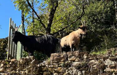 Gîtes de coussane - Photo 9