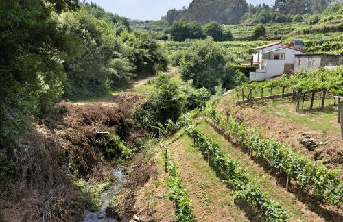 Quinta Da Cevidade - Foto 53