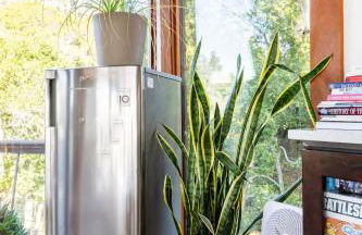 Peaceful Treehouse with Ocean View - Foto 23