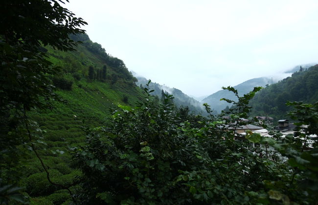 Yeşil Doğa Bungalov - Foto 25