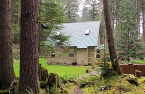 Elk Crossing Cozy Cabin at Crystal Mountain home - Foto 28