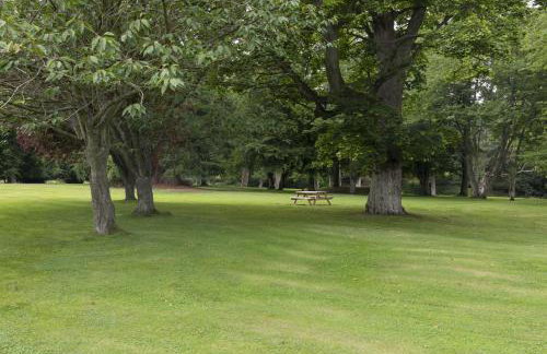 The Tower, Keith Marischal - Foto 41