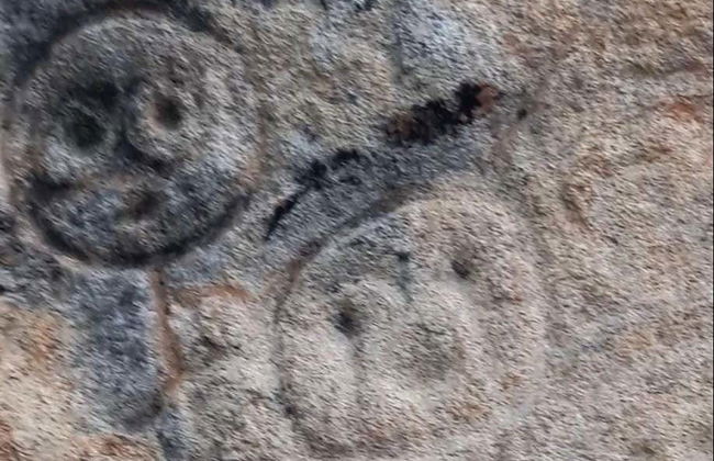 La Piedra Letrada Petroglyphs Day Trip - Photo 4