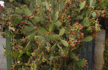 Agriturismo S. Agostino - Foto 17