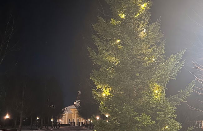 Flygeln lägenhetshotell - Foto 48