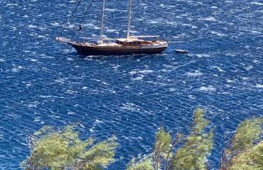 ΠΕΤΡΙΝΟ στην Άνδρο - Foto 15