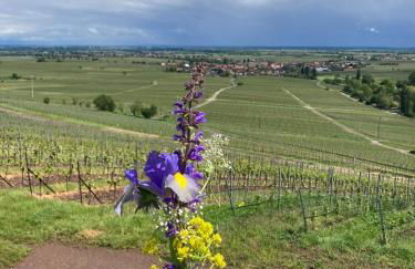 Blockhaus in herrlicher Umgebung - Foto 43