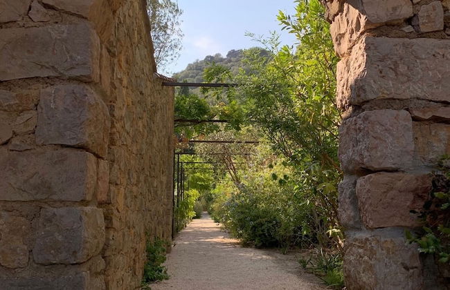 La Cigale Varoise - Hyères La Plage - Photo 24