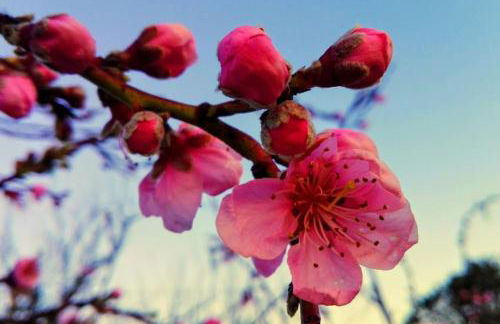 Casa da Tileira - Photo 33