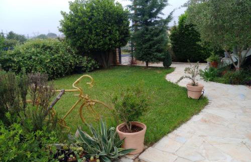 Katerina's guest house - Foto 36