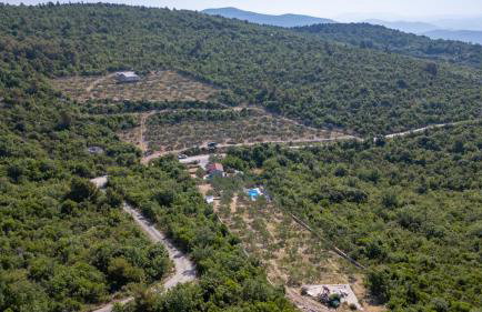 Country house Maslina by Villas Guide - Foto 13