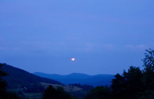 Classy Apartment in Soultzeren - Photo 13