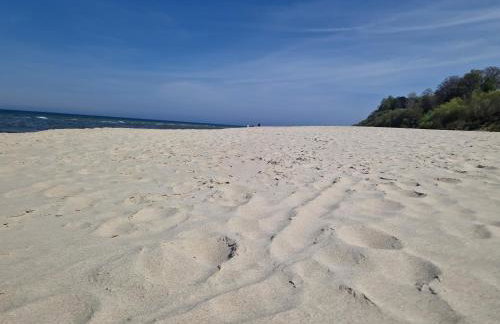 Wydmy Wiatr - Foto 39