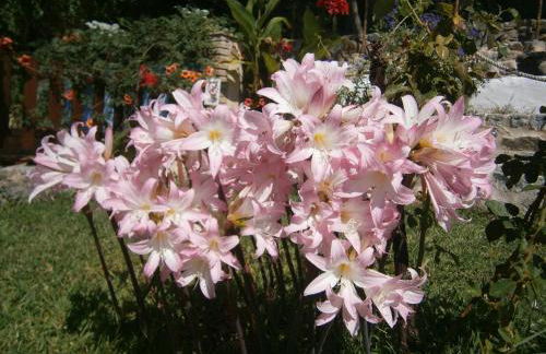 Quinta do Tempo Turismo Rural - Foto 25