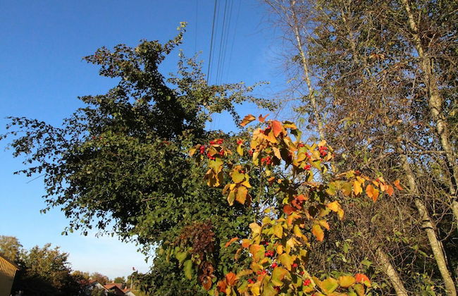 The Sundeck-a romantic apt in Tallkrogen - Photo 15