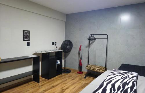 Studio Libertas - Foto 21