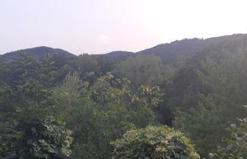 Villa Le Palmine - Foto 29