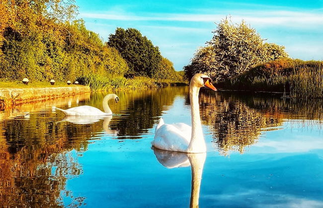 360 Serviced Accommodations - Swan Path Retreat - 2 Bedroom Apartment - Photo 1