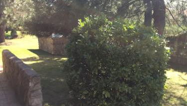 Chalet Los Ángeles de San Rafael - Foto 2