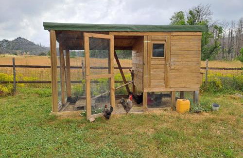 Timber Dream - Photo 40