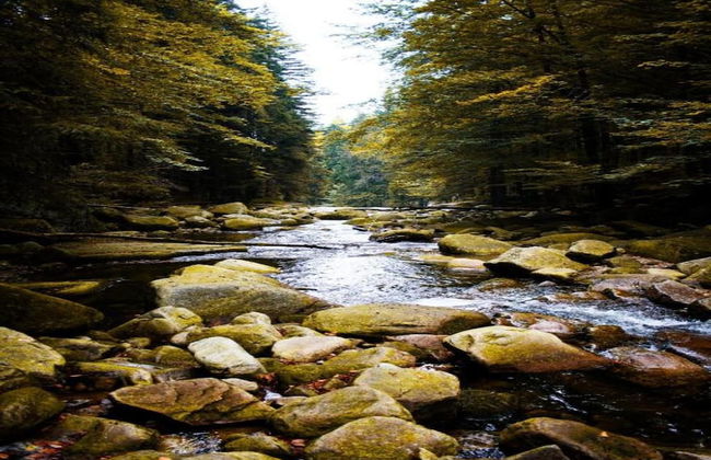 Peaceful Holiday Home in Holin With Garden - Photo 14