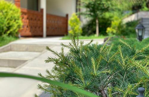 Apartamenty Kornaje - Szczawnica Jaworki - komfortowe apartamenty, basen, sauna, duży ogród, blisko szlaków i stoku narciarskiego - Photo 19