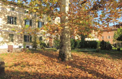 Corte dell'Uva - Foto 15