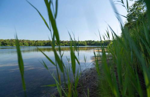 Seevilla am See mit Sauna, Kamin, privatem Steg und Seezugang - Foto 27