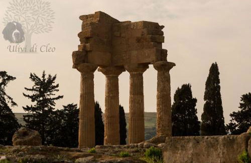 Ulivi di Cleo - Foto 58