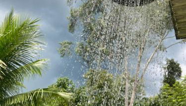 Sítio Luz das Estrelas - Foto 5