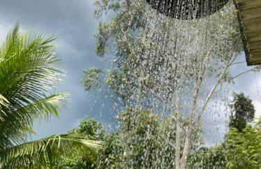 Sítio Luz das Estrelas - Foto 5