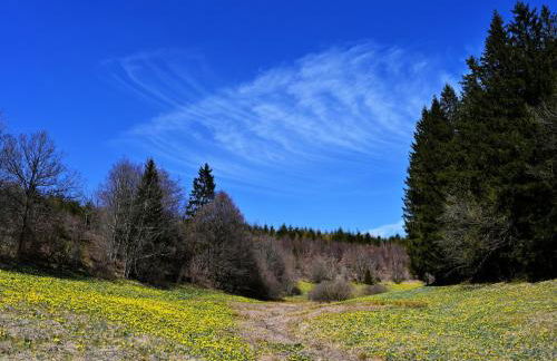 Ferienwohnung Eifel-Life - Photo 22