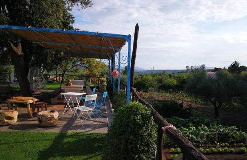 Agriturismo Guthiddai - Foto 12