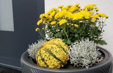 Ferienwohnungen Marcushof - Foto 59